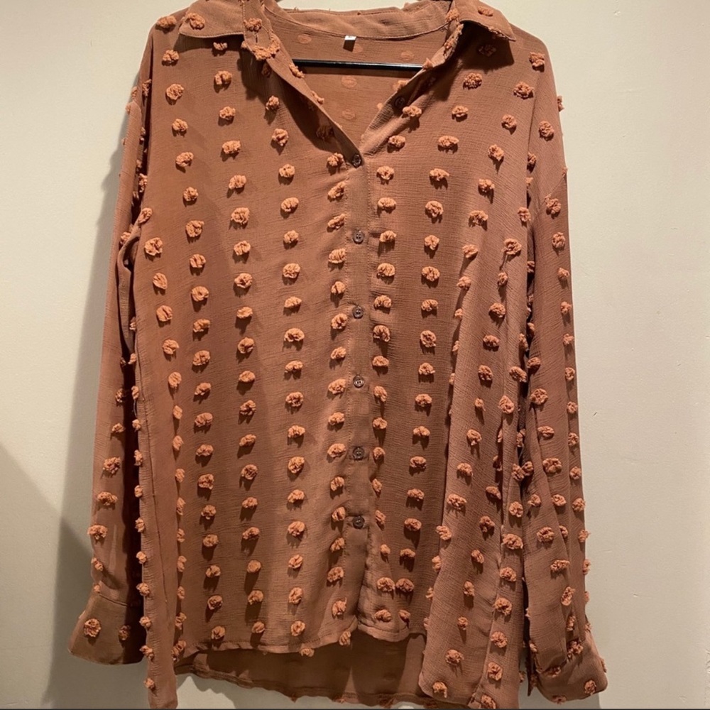 Sheer Button-down Top